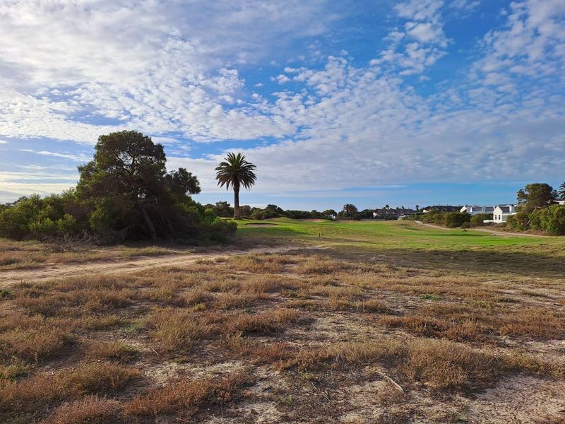 0 Bedroom Property for Sale in Shelley Point Western Cape